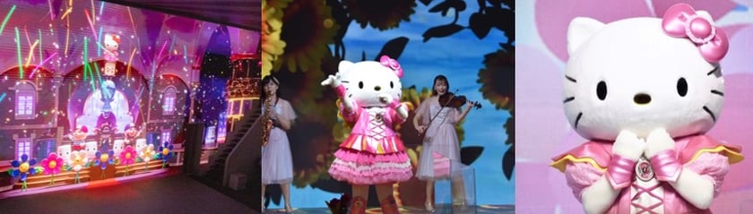 ショーボックス事例