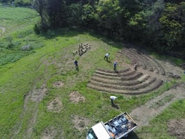 タネノチカラ体感型SDGs研修の様子