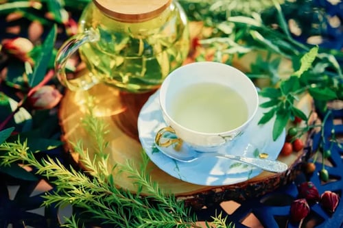 ハーブティ aubergeフレンチの森