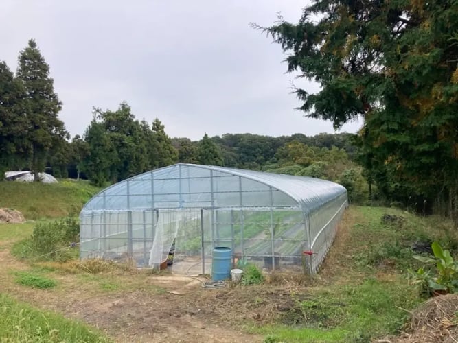 ビニールハウス