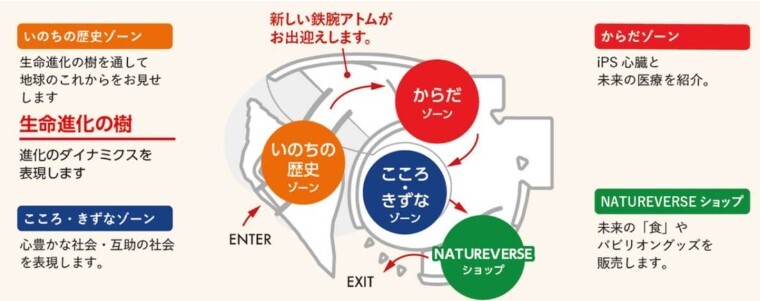 展示概要