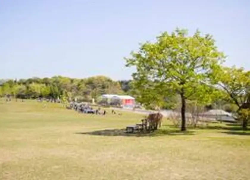 クレヨンしんちゃん 芝生