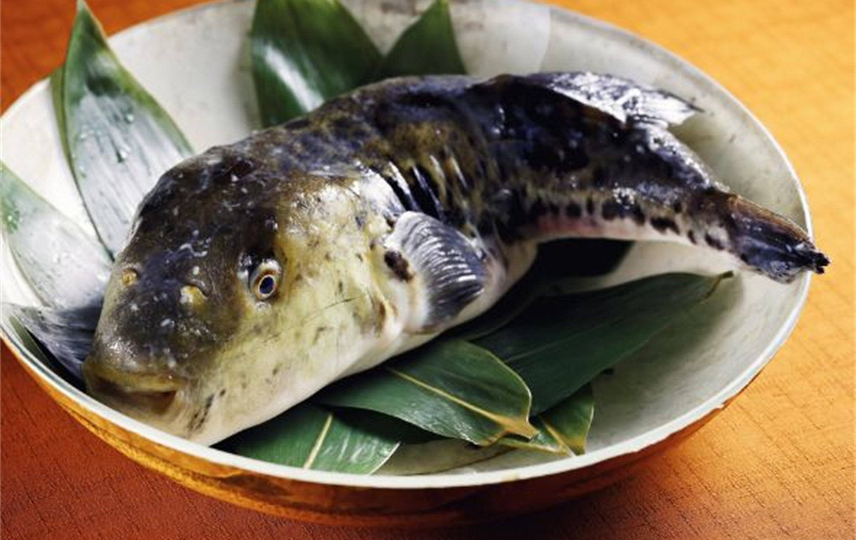 旬の食材を使った期間限定メニュー