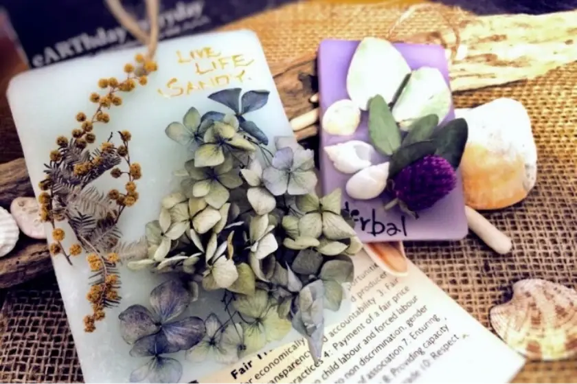 ワークショップ