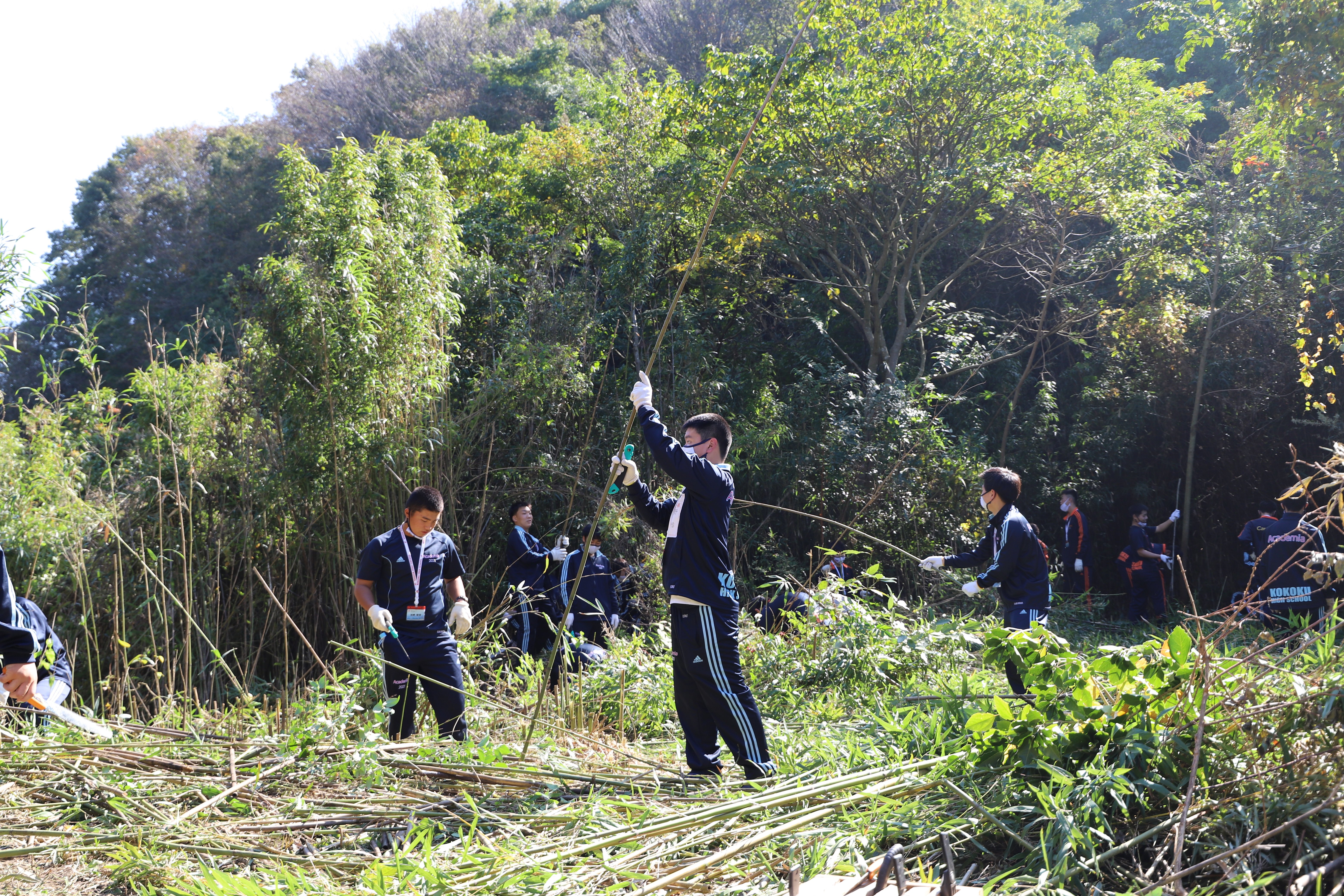 雑草と野菜の違いとは？