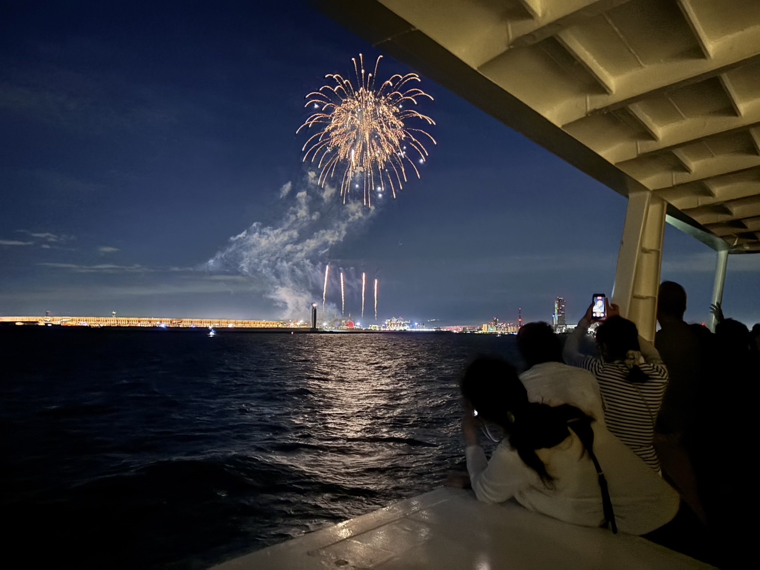 Japan Fireworks Cruiseの様子